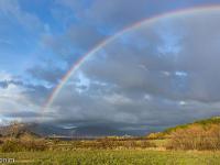 Arc en ciel - 25 novembre 2016