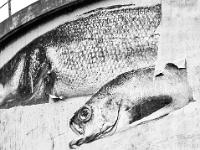 Usine Arkema - Saint Auban (04)  Poissons sur le vieux château d'eau de l'usine - Intervention Street Art d'Agnés Varda et JR. http://www.jr-art.net/fr/projets