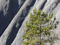 Au nord de la montagne de Gache  Marnes ou robines