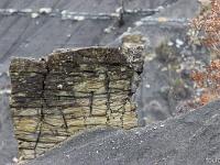 Du côté de Bevons un jour pluvieux d'hiver  Erosion