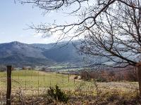 GR 946 entre Bevons et Noyers  Vue vers le Sud