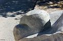 maillard-paon-solaire-4