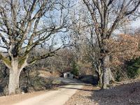Boucle Barret-sur-Méouge via St-Pierre-Avez  Retour sur mes pas pour rejoindre Saint Pierre Avez et redescendre vers la vallée. Deux chênes pubescents magnifiques de part et d'autre de la route