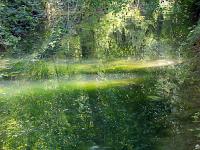 Le Buech vers Ribiers  Reflets