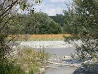 Le Buech vers Ribiers  Embouchure du torrent de Clarescombes qui se jète dans le Buech à l'Ouest de Ribiers