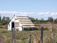 Camargue  Cabanon de gardian 1/3