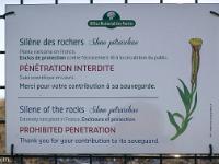 Chabre  Campagne de sauvegarde d'espèces rarissimes comme ici la Silène des rochers. Une enclos à été crée ici pour protéger cette espèce du piétinement et l'étudier