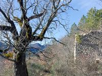 Chateau des Graves XVIIe  Vue sur la cour et l'accès au château entre l'arbre et la bâtisse. Et voila ! La visite est terminée ! Merci de votre attention.