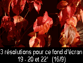 fond 10