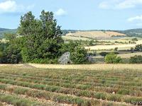 Autour de Ferrassières sur le plateau d'Albion  Borie