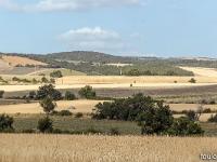 Autour de Ferrassières sur le plateau d'Albion  Vue sur le plateau