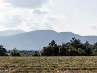 Autour de Ferrassières sur le plateau d'Albion  Au loin à gauche, le Ventoux