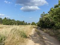 Autour de Ferrassières sur le plateau d'Albion  Chemin