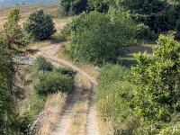 Autour de Ferrassières sur le plateau d'Albion  Chemin entre les champs