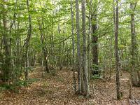 Autour de Ferrassières sur le plateau d'Albion  Forêt communale de Ferrassière