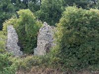 Autour de Ferrassières sur le plateau d'Albion  Ruine
