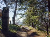Forcalquier - ND de Provence (1875)  Sous les cèdres. A gauche les oratoires du chemin de croix