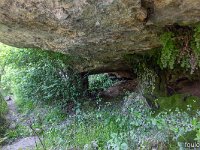 Plateau de Ganagobie - La forêt  Vue sous la falaise ou se trouve une source ...