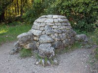 Plateau de Ganagobie - La forêt  Pas très loin du monastère au début de la forêt se trouve cette curieuse tortue ...