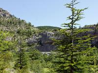 Gorges de la Méouge  Le sentier