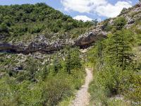 Gorges de la Méouge  Le sentier au niveau du Banc du Bouc. Ici poussent de jeunes cèdres