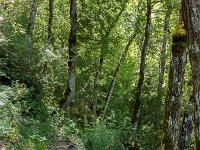 Gorges de la Méouge  Le sentier 2/2