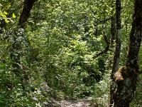 Gorges de la Méouge  Autre vue sur le sentier