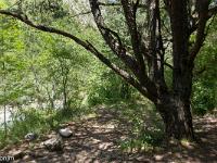 Gorges de la Méouge  Celui-ci rejoint la Méouge. Il est 13h30. Je vais casser la croute ici ! ...