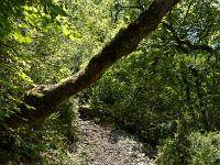 Gorges de la Méouge  Autre vue sur le sentier
