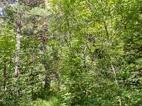 Gorges de la Méouge  Le sentier