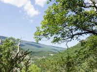 Gorges de la Méouge  Vue vers l'Est