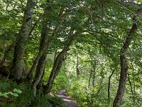 Gorges de la Méouge  Le sentier
