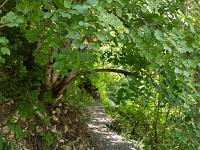 Gorges de la Méouge  Le sentier