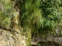 Gorges de la Méouge  La Méouge 6/8