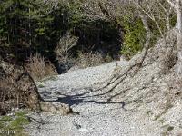 Gorges de la Méouge - Barret sur Méouge via St Pierre Avez  Le sentier entre la D 942 et le Pont Roman
