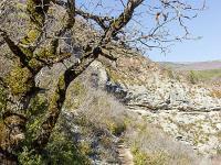 Gorges de la Méouge - Barret sur Méouge via St Pierre Avez  Le sentier