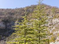 Gorges de la Méouge - Barret sur Méouge via St Pierre Avez  Cèdres
