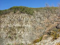 Gorges de la Méouge - Barret sur Méouge via St Pierre Avez  Le sentier