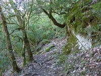 Gorges de la Méouge - Barret sur Méouge via St Pierre Avez  Le sentier