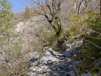 Gorges de la Méouge - Barret sur Méouge via St Pierre Avez  Le sentier