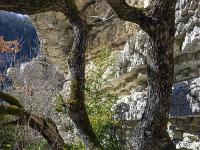 Gorges de la Méouge - Barret sur Méouge via St Pierre Avez  Nous voici au pied du Rocher du Château. Je vais me hisser sur la petite plateforme qui trône à sa base, exposée plein sud et y casser la croute