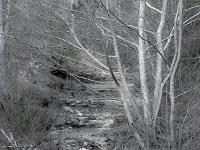 Gorges de la Méouge - Barret sur Méouge via St Pierre Avez  Ruisseau