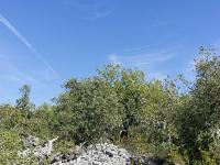 Tour des gorges d'Oppedette  Le sentier ...