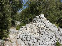 Tour des gorges d'Oppedette  Le sentier en sous-bois ...