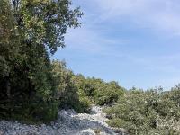 Tour des gorges d'Oppedette  Le sentier devient très caillouteux ...