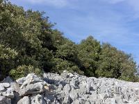 Tour des gorges d'Oppedette  Et rocheux ...