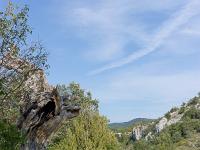 Tour des gorges d'Oppedette  Le sentier ...
