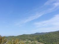 Tour des gorges d'Oppedette  Autre vue sur le sentier ...