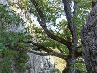 Tour des gorges d'Oppedette  Le sentier s'enfonce dans une faille ...