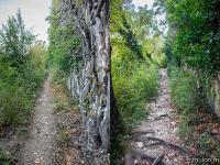 Tour des gorges d'Oppedette  Le sentier longe et monte maintenant sous la falaise sur laquelle le village est bâti ...